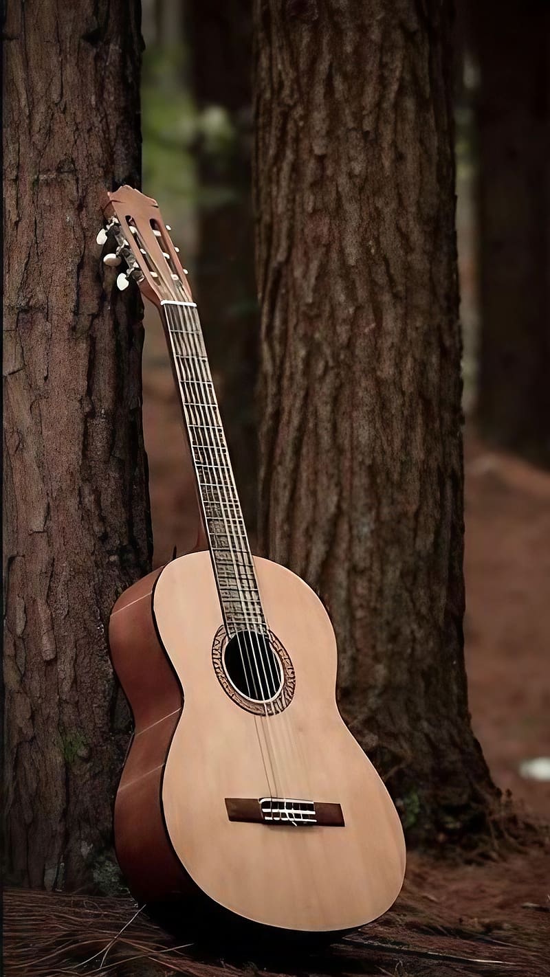 Guitar For, Guitar Kept Besides A Tree, instrument, HD phone wallpaper