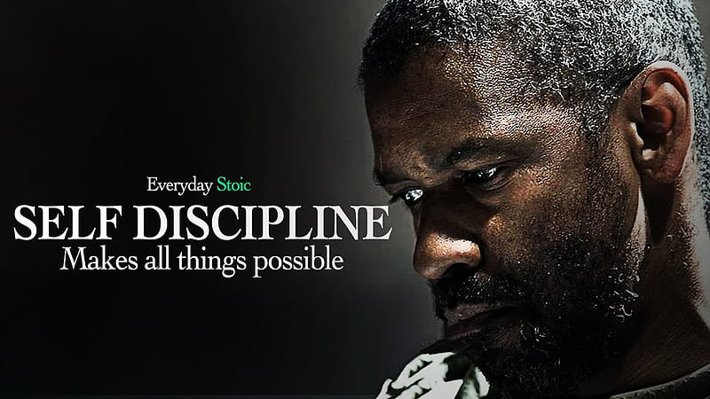 Everyday Stoic Self Discipline Makes All Things Possible Motivational, HD wallpaper