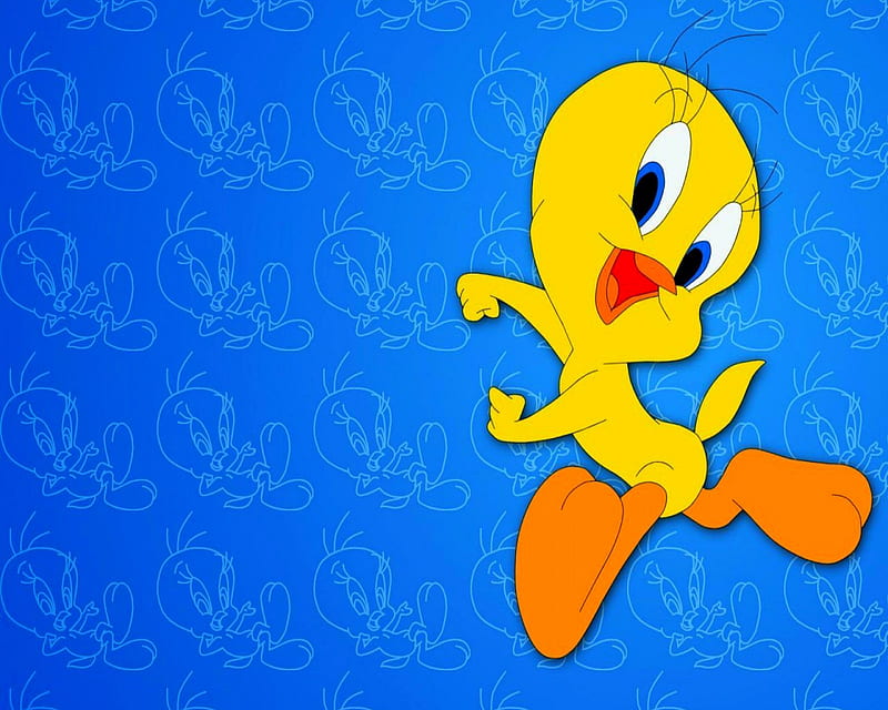 Tweety Bird, cartoons, HD wallpaper
