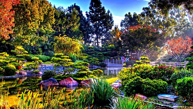 beautiful japanese garden, colorful, garden, amazing, nature, HD wallpaper