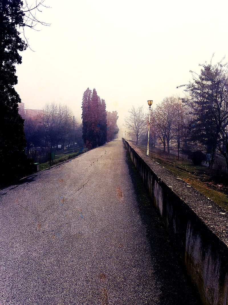 One way, fog, nature, road, travel, HD phone wallpaper