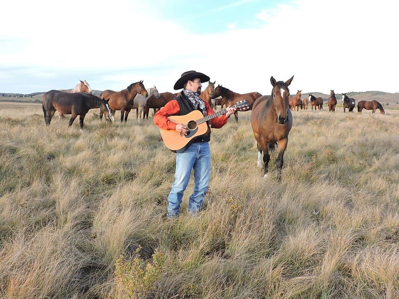 Cowboy Ryan Fritz of Alberta Canada, Artist, Hillside, Records, Musician, Country Music, Plains, Horses, Grass Hillside, Rancher, Horizon, Alberta, Songs, Canadian, HD wallpaper