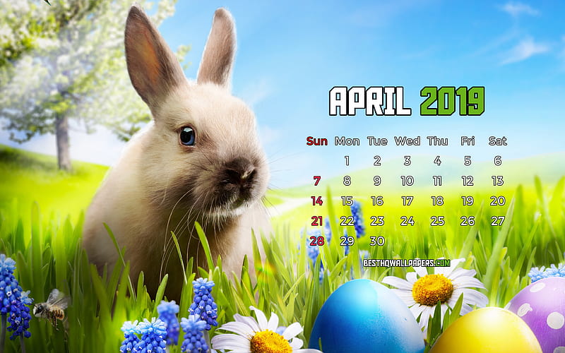 April 2019 Calendar spring, easter bunny, 2019 calendar, spring landscape, April 2019, abstract art, Calendar April 2019, artwork, 2019 calendars, HD wallpaper