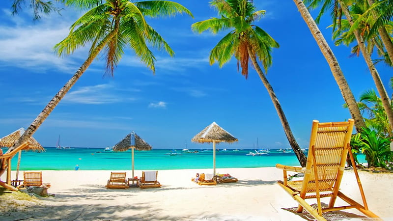 Tropical paradise beach, shore, sea, beach, sand blue, exotic, ocean landascape, waves, water, summer, nature, tropical, scene, palm tree, coast, HD wallpaper