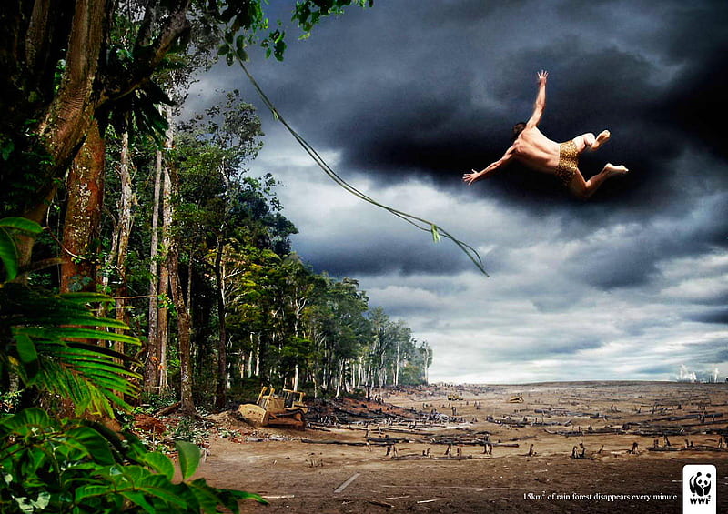 Rain forest, forest, help, we, dark time, global, earth, HD wallpaper |  Peakpx