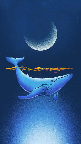 Blue Whale Wallpapers  Wallpaper Cave