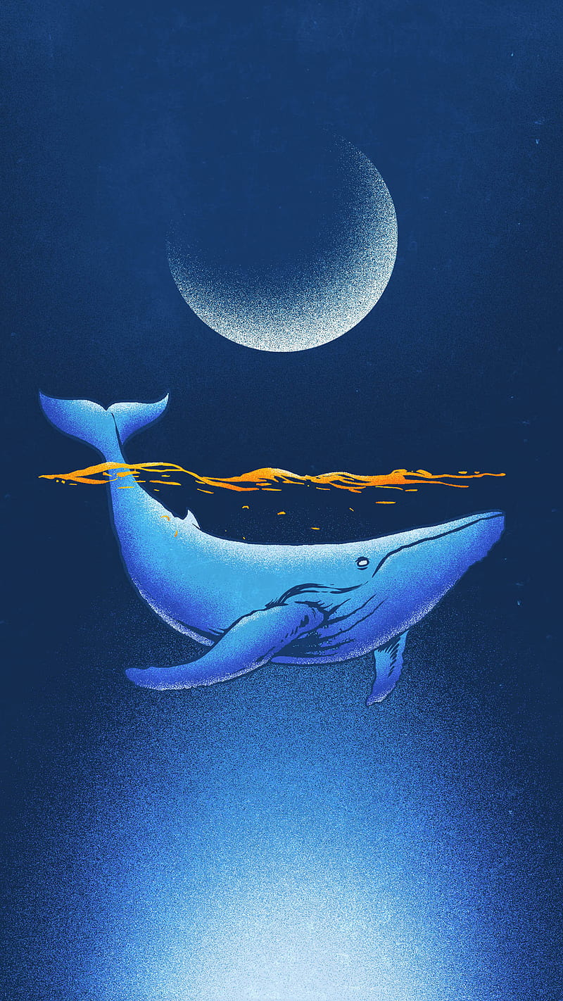 Whale the light, abstract, art, blue, cute, illustration, sea, vector,  water, HD phone wallpaper | Peakpx