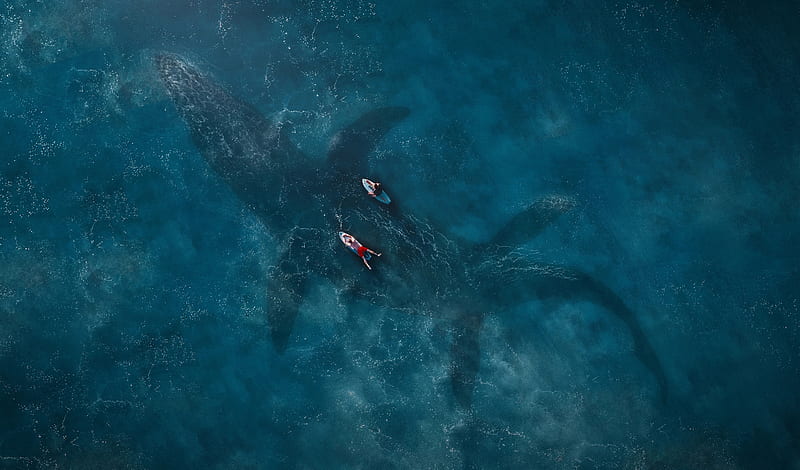mosasaurus, underwater, ocean, jurassic world: fallen kingdom, Movies, HD wallpaper