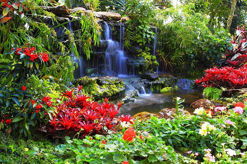 Summer water stream, stream, fall, rocks, red, pretty, colorful, grass, falling, sunny, bonito, bushes, nice, stones, green, heaven, waterfall, flowers, harmony, lovely, greenery, park, water, paradise, rays, garden, nature, hidden, HD wallpaper