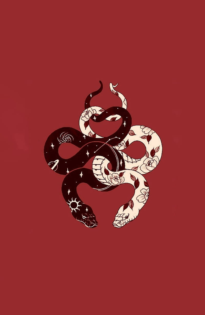 Snake love red, dragon, snakes, HD phone wallpaper | Peakpx