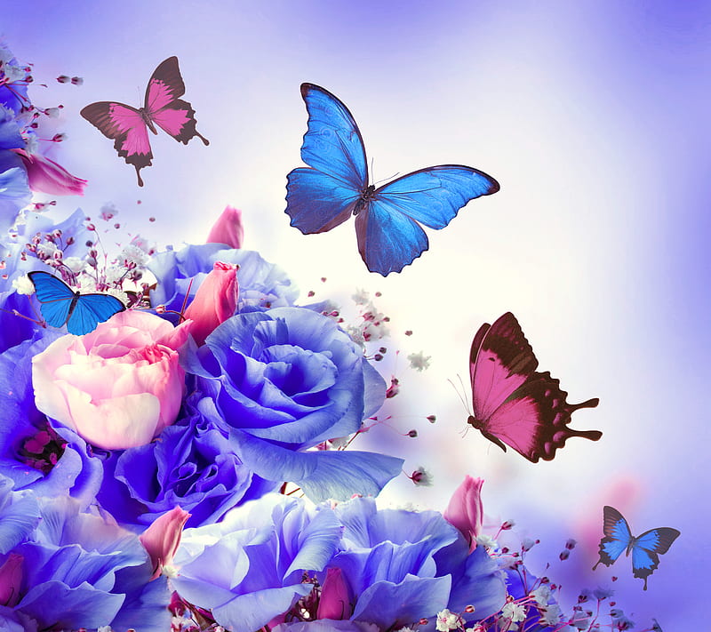 Floral Butterflies, blue, butterfly, flowers, pink, rose, spring, HD wallpaper