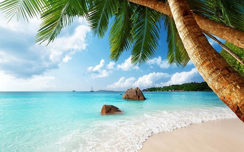 Eternal Summer, islands, bonito, clouds, palm trees, sea, beach ...