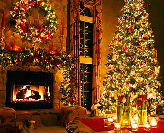 Christmas Tree, christmas, tree, HD wallpaper | Peakpx