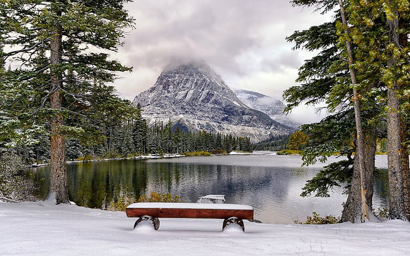 mountains, canada, tree, lake, winter, snow, HD wallpaper