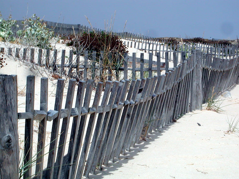 Fishermenʼs Fences at Praia do Barril, Algarve, artistic, beach, fences, motif, HD wallpaper