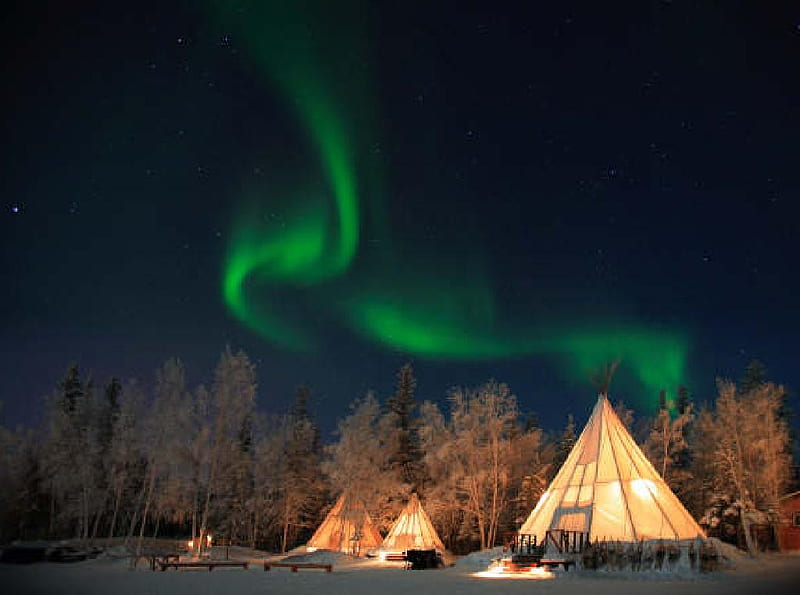 Northern Lights, fire, snow, aurora borealis, trees, lights, tents, HD wallpaper