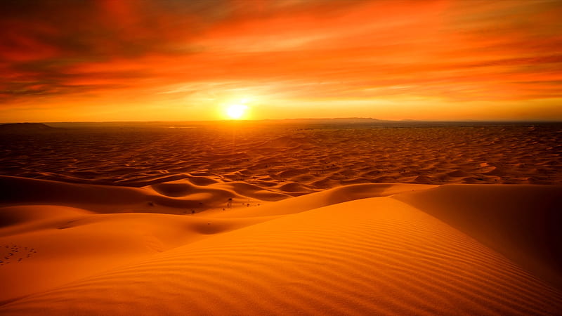 Sahara desert at sunset, glow, desert, sand, sun, orange, sunset, sahara, red, dry, hot, HD wallpaper