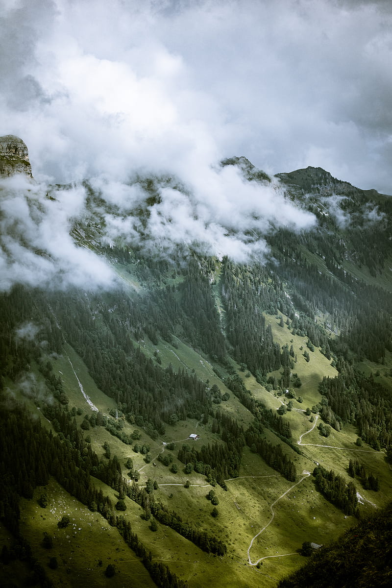 rocks, slope, trees, fog, clouds, HD phone wallpaper