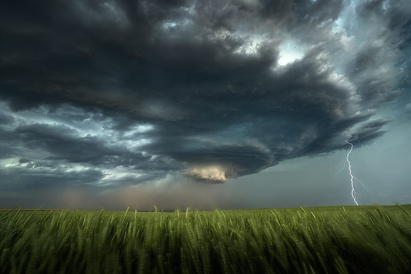 Earth, Storm, Cloud, Field, Lightning, HD wallpaper
