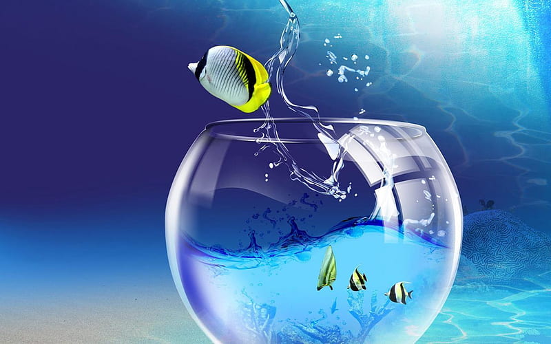 The-fish-jumps-out-of-the-aquarium, glass, fish, angel, aquarium, beauty, abstract, blue, HD wallpaper