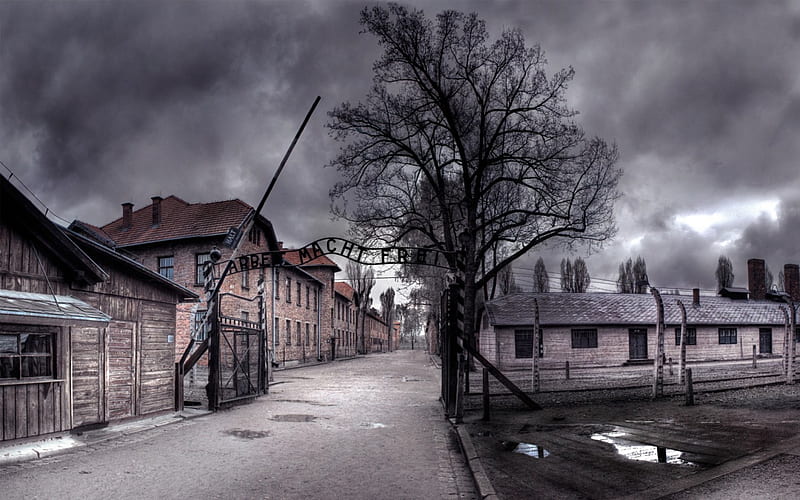 Auschwitz (Oświęcim), Clouds, Camp, Tree, Gate, Fence, Barracks, HD wallpaper