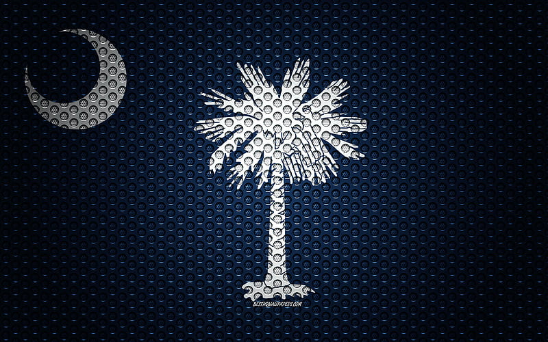 Flag of South Carolina American state, creative art, metal mesh texture, South Carolina flag, national symbol, South Carolina, USA, flags of American states, HD wallpaper