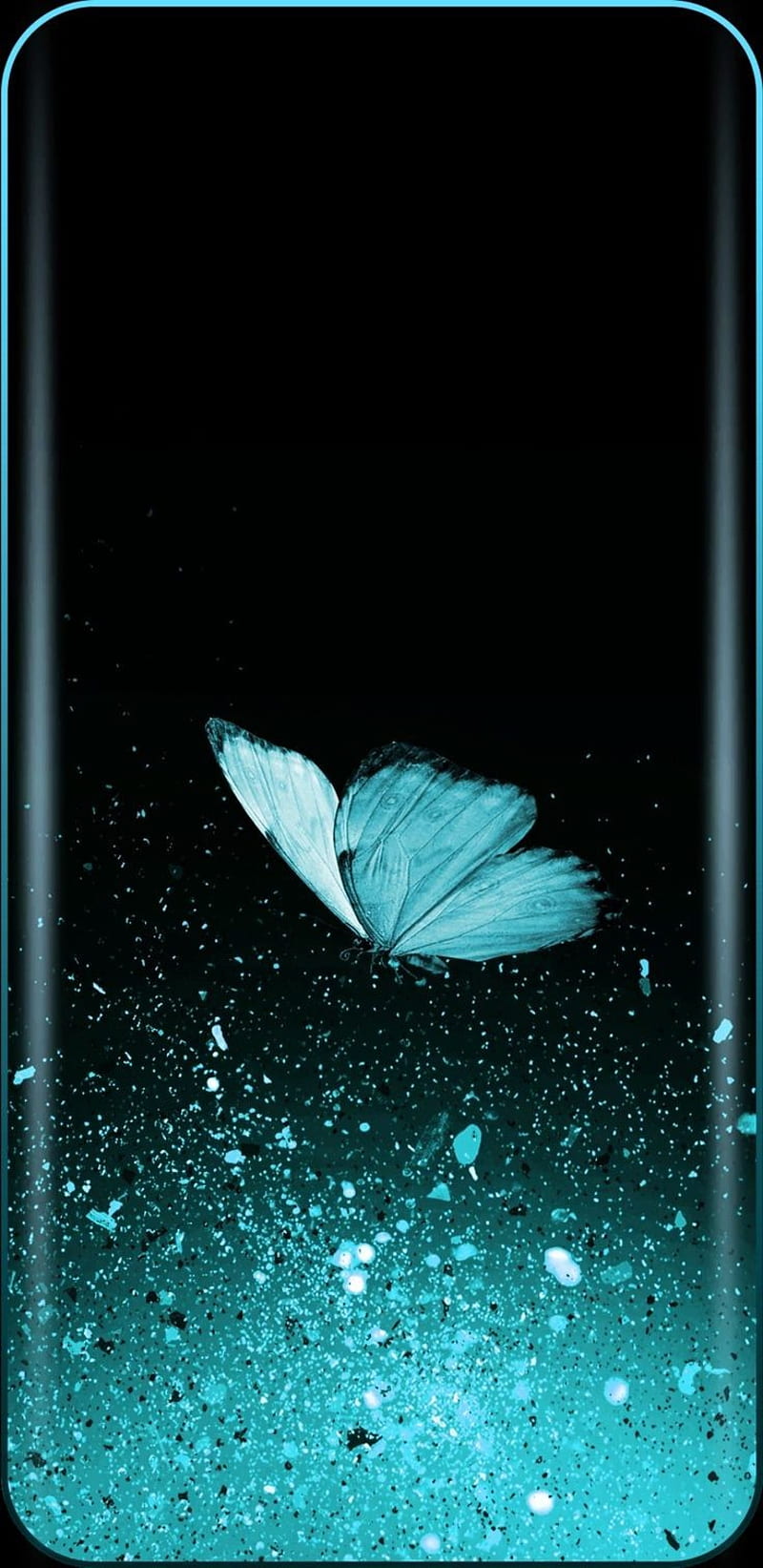 Butterfly , premium, ultra, HD phone wallpaper