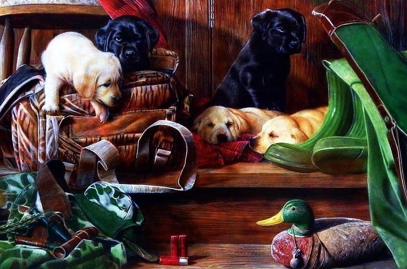 Tired Dogs, utensils, painting, resting, artwork, pups, HD wallpaper