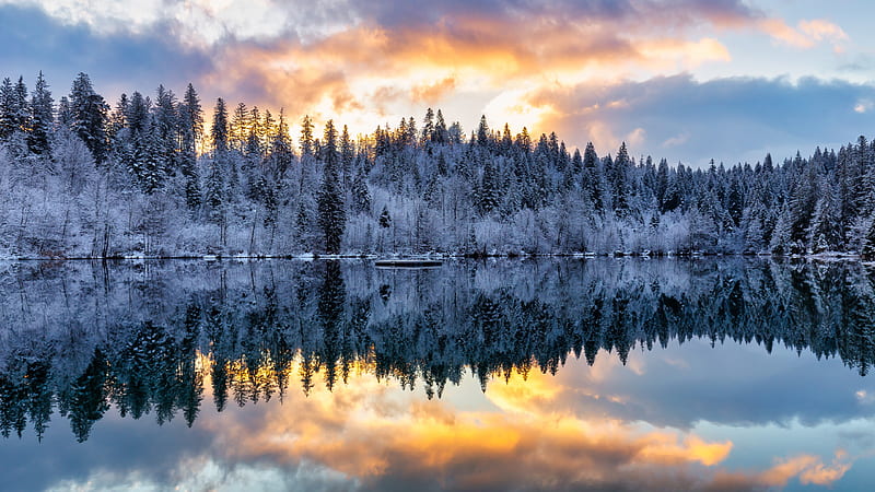 Snow Covered Pine Trees With Reflection On River And Yellow Black Cloudy Sky Nature, HD wallpaper