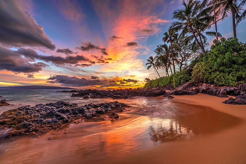 Tropical sunset, sunset, island, tropical, sky, palms, fiery, ocean,  bonito, HD wallpaper | Peakpx
