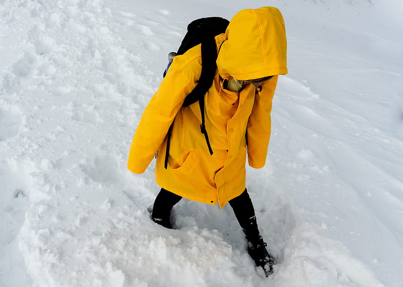 person in yellow coat and black pants standing on snow covered ground during daytime, HD wallpaper