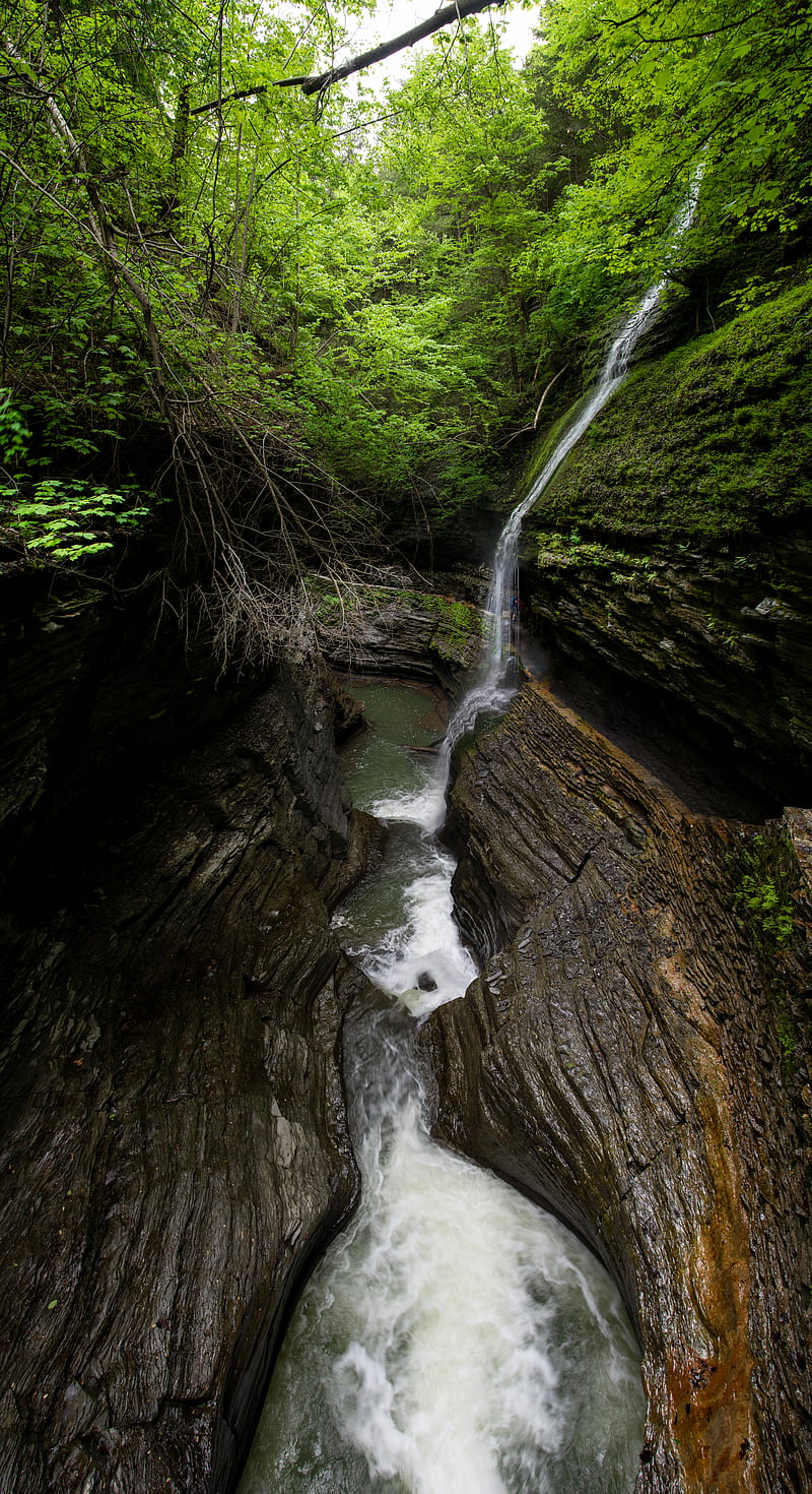 stream, waterfall, rocks, stone, trees, forest, HD phone wallpaper