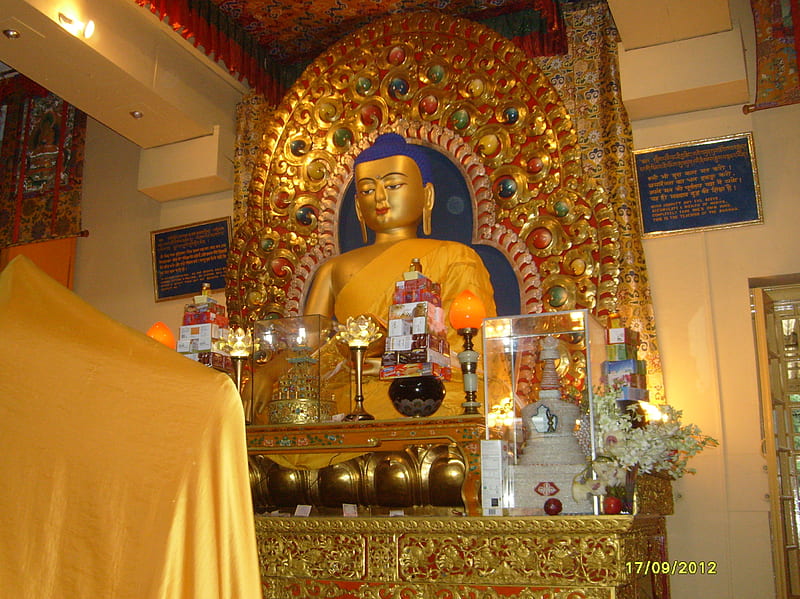 Lord Buddha, buddhist, god, himachal, india, HD wallpaper