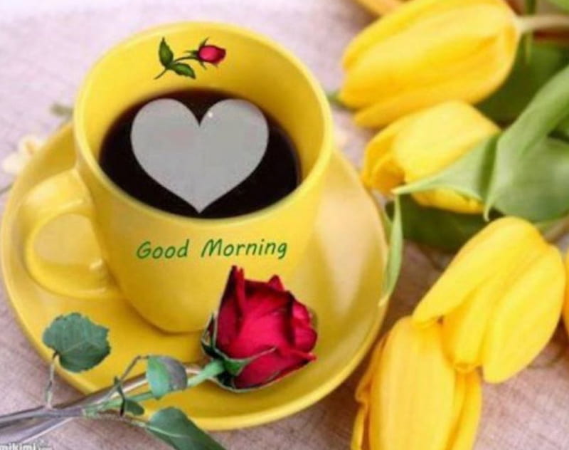 Good Morning!, red, still life, rose, flowers, yellow, cup, tulips, HD wallpaper