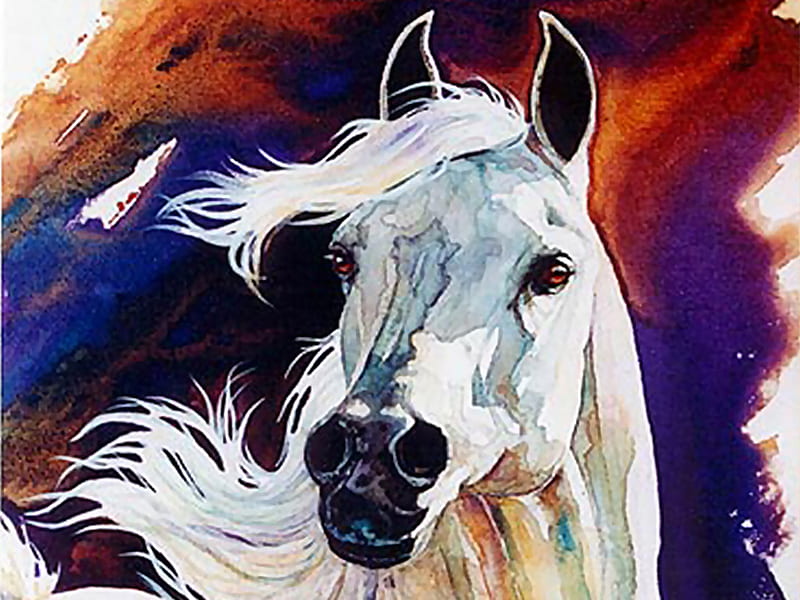 Wind Dancer - Horse F2, art, head, jan taylor, equine, horse, taylor, painting, arabian, watercolor, HD wallpaper