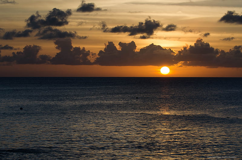 sunset, sun, sea, horizon, glare, waves, HD wallpaper