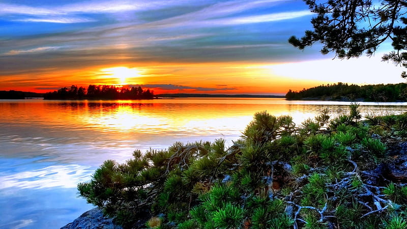 Sunset At The Bay, red, yellow, bonito, trees, sky, clouds, green ...