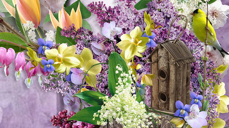 Glorious Goldfinch, lily of the valley, bird house, bleeding hearts, lilacs, bird, bright, summer, tulips, goldfinch, HD wallpaper