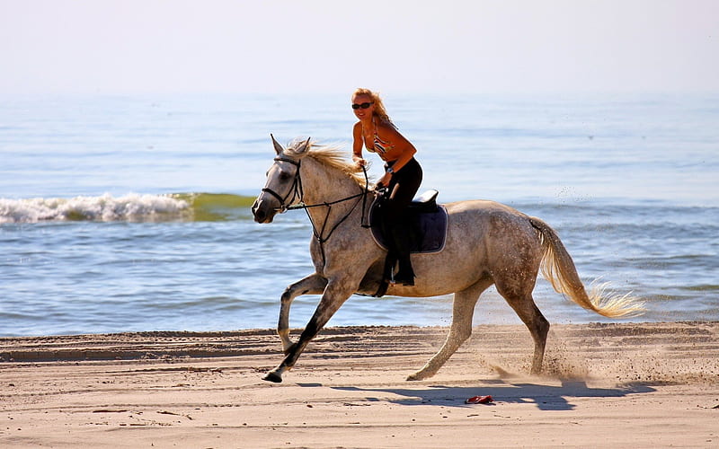 Lovely Day, horse, woman, jockey, sea, HD wallpaper