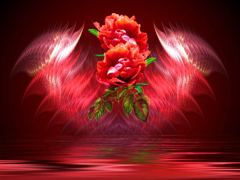 Rose reflections, red, leaves, ripples, suspended, reflections, roses, HD wallpaper