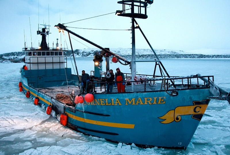 Cornelia Marie Deadliest Catch Crab Boat quota, bering sea, greenhorn, crab, fishing, HD wallpaper