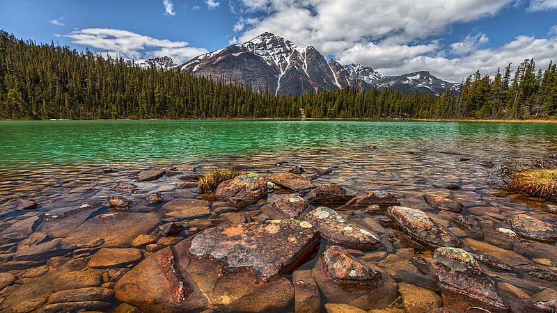 Lake Shore, rocks, shore, mountains, Cavell lake, Alberta Canada, Jasper national park, trees, lake, HD wallpaper
