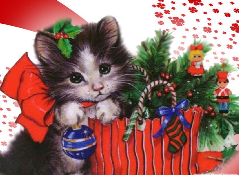 Navidad gato, navidad, gato, Fondo de pantalla HD | Peakpx