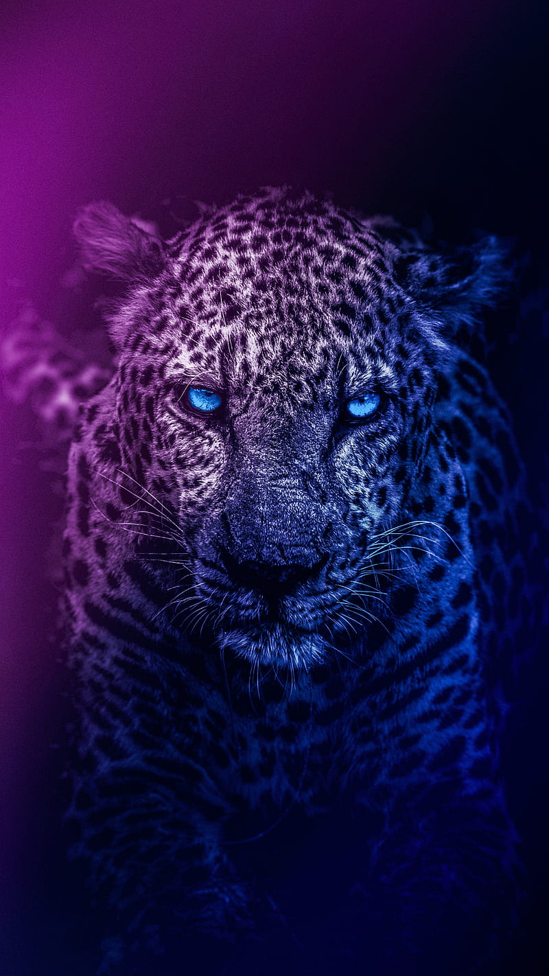 Tiger, animals, black, cats, jaguar, leopard, neon, pubg, HD phone wallpaper  | Peakpx