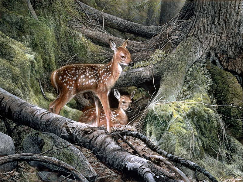 Young Deers, painting, young, tree, deer, HD wallpaper