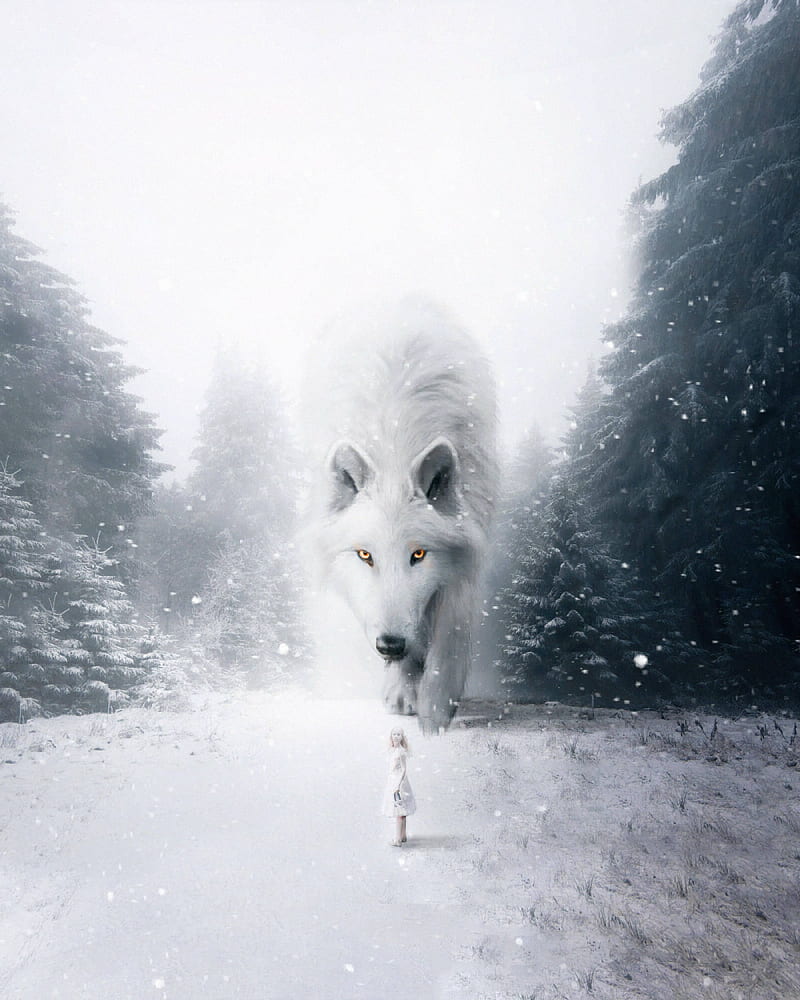wolf, child, hop, white, snow, fog, HD phone wallpaper