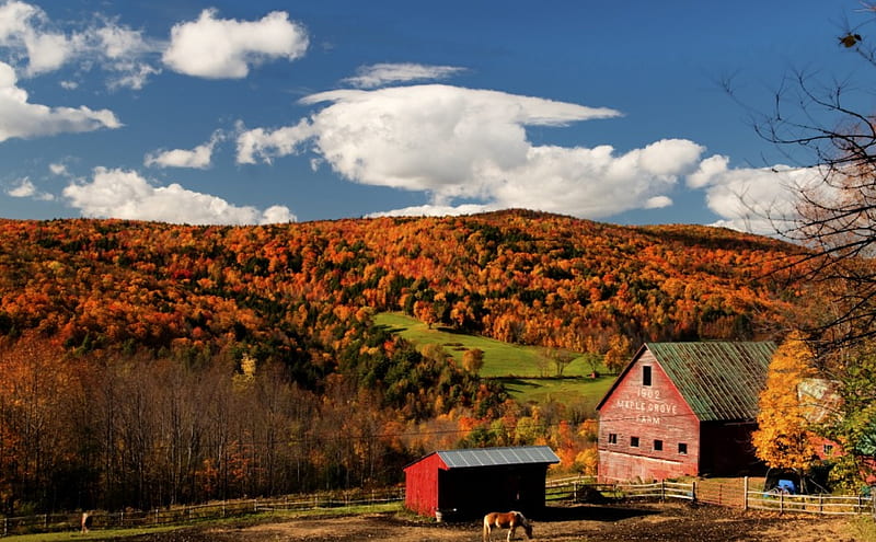 Maple Grove Farm, Vermont, autumn, house, trees, clouds, landscape, HD wallpaper