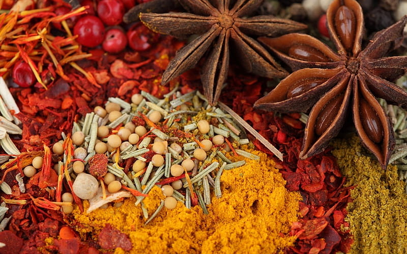Spices, red, colourful, brown, orange, star anise, spice, seasoning, curry, HD wallpaper