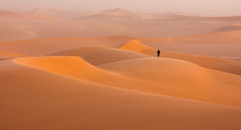 Alone in the desert, man, sand, desert, alone, HD wallpaper