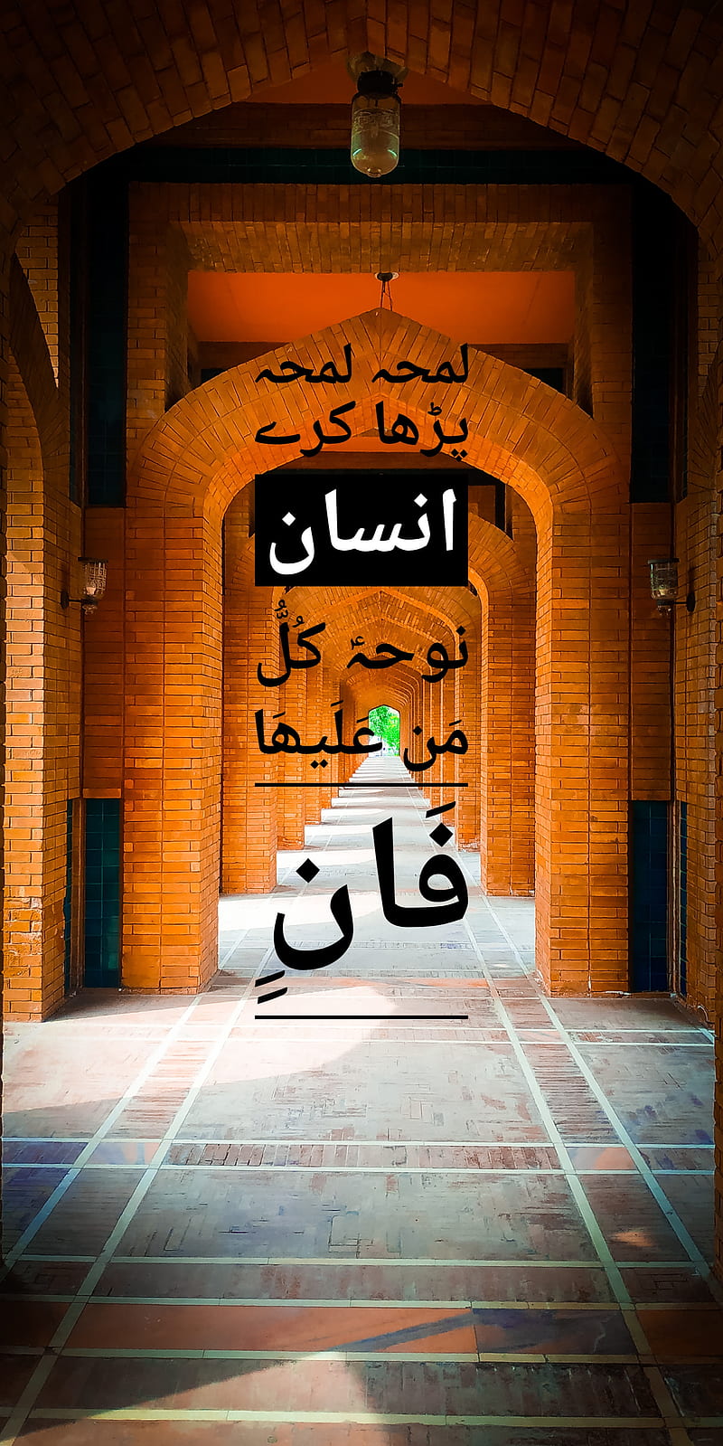 urdu , arabic, elia, jhon, love, mosque, pakistan, poet, poetry, portrait, HD phone wallpaper